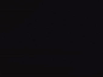 ronins2.gif