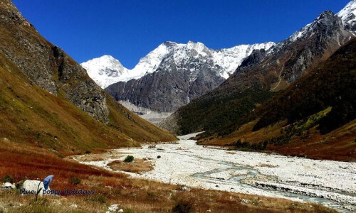 Want to visit the valley of flowers? Valleyofflowers.info is a renowned platform that offers the most beautiful trip to the lap of nature and renders service with smart packages. For further details, please get in touch with us.

https://valleyofflowers.info/