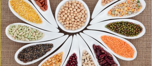Want to buy organic moong dal? Indusvalleyorganic.com is a prominent platform to buy organic toor dal. We provide a wide range of organic pulses and lentils at reasonable prices. Explore our site for more info.

https://www.indusvalleyorganic.com/pulses