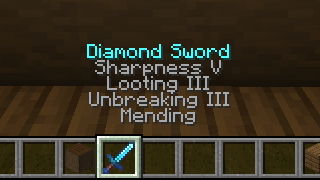 held_item_info_description.png