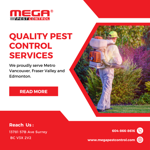 Mega Pest Control offers the Carpet-Beetles Control Services in Canada. Get the best pests controlling services at the lowest cost in entire British Columbia. Call at 1 (888) 688-1048 now.

https://megapestcontrol.com/pest-category/carpet-beetles/