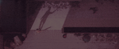 ShotGif.gif