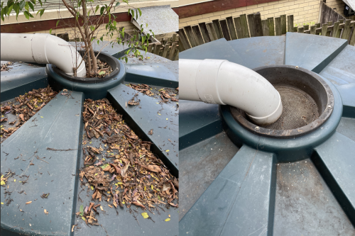 Don't wander and there if you are looking for commercial gutter cleaning in Gold Coast. Then get in touch with us. Gcgutters.com.au has experts that can provide you the quality service, whether it be residential, commercial, or industrial. Contact us at 492943013

https://gcgutters.com.au/commercial-gutter-cleaning/