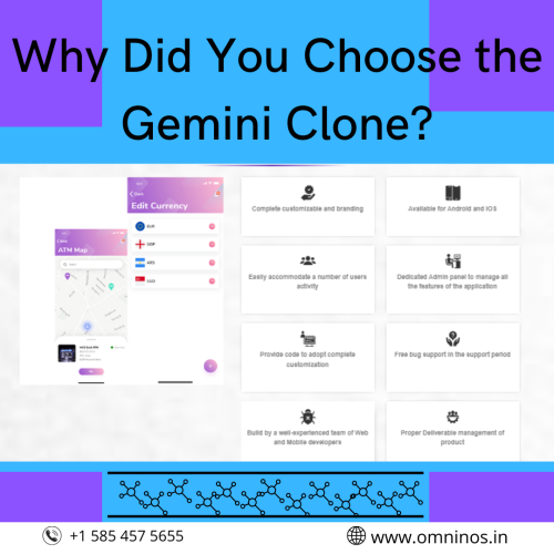 Why-Did-You-Choose-the-Gemini-Clone.png