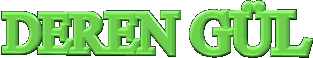 derengulqykgo-1.gif