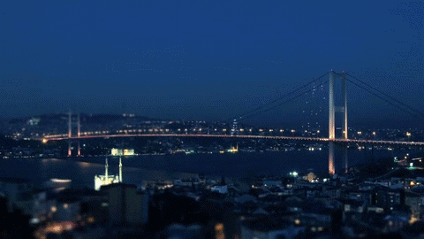 06ea0f2300ff8cc233d14c91a320abec.gif