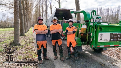 Expert-Tree-Service-Provider-in-Kaiapoi.jpg