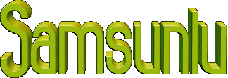 samsunlu3nwjzp.gif