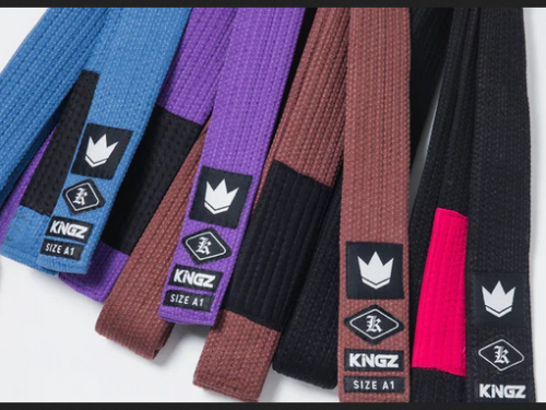 Men's Jiu Jitsu GI kimono BJJ GIS are carefully crafted combat uniforms for a fighter who wants the absolute best quality and value. Kingz Kimonos offers a huge range of high-quality and durable BJJ GIS and kimonos. Shop now!

Read More: https://www.kingz.com/collections/mens-kimonos