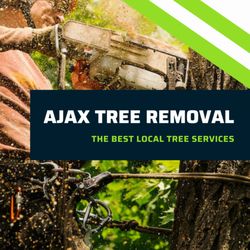 Best-Arborists-in-Rangiora-Providing-Best-Services.jpg