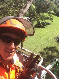 Expert-Tree-Service-Provider-in-Kaiapoi.jpg