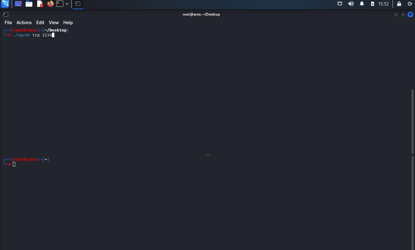 ngrok1.png