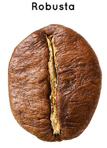 Get-the-Best-Quality-of-Robusta-Coffee-Beans-Online.jpg