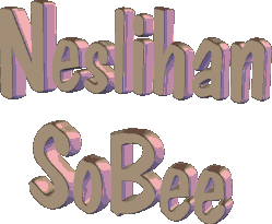 neslihan-sobe.gif