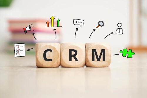 crm software development company in jaipur