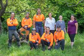 Best-Arborists-in-Rangiora-Providing-Best-Services.jpg