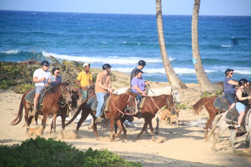 Browsing the best excursions in Punta Cana? Look no further than Tour Point Punta Cana fromPuntacanabestexcursions.com. Our experienced guides will take you on a journey you'll never forget. Investigate our site for more information.

https://www.puntacanabestexcursions.com/