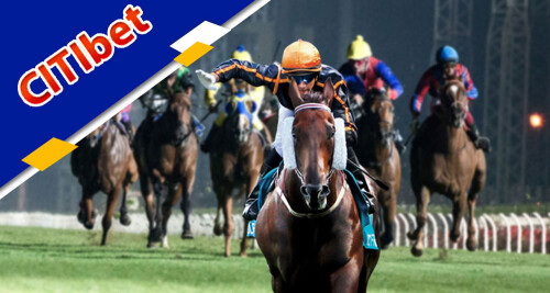 What is the best online Citibet horse betting platform? Onlinegambling-review.com is a well-known online horse betting site that offers horse racing bets. CitiBet is the greatest location to wager on horse racing, with a large variety of bets and odds. More information may be found on our website.

https://onlinegambling-review.com/citibet/