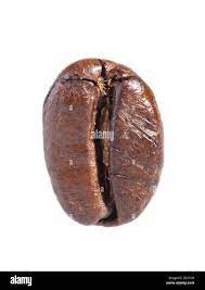 Buy-Premium-Coffee-Beans-Online.jpg