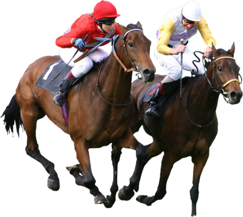 horse-pic.png