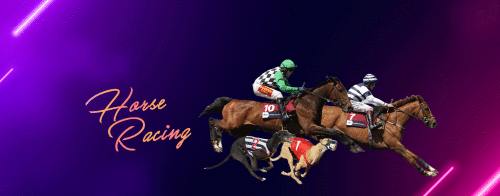 Page-Horse-racing-1.gif