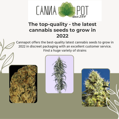The-top-quality---the-latest-cannabis-seeds-to-grow-in-2022.gif