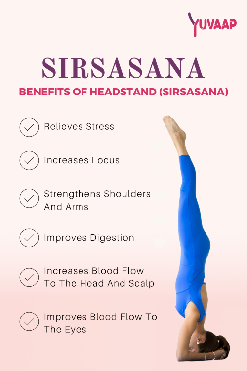 Sirsasana Benefits Of Headstand
https://www.yuvaap.com/