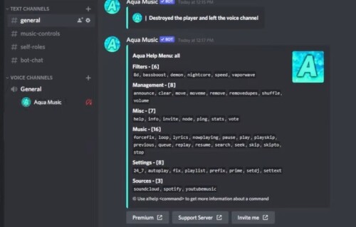 discord-music-bots-to-add-to-your-server-aqua.jpg
