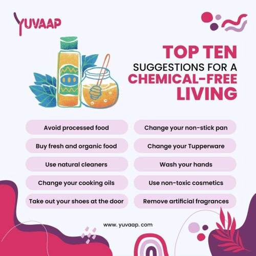 In today's era, where most people use chemical-rich products, it is very difficult to live a toxic-free lifestyle. However, we know very well that it is not unattainable. We just need to make a little change in our homes and daily lives. If you use canned food and vegetables, then you have to stop all this. It goes without saying that food plays a very important role in our lives.
https://www.yuvaap.com/blogs/ten-simple-tips-to-have-a-non-toxic-and-chemical-free-life/