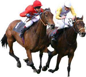 horse-pic-300x268-1.png