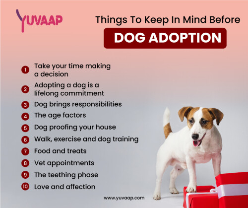 If you are considering dog adoption, there are Things To Know Before Adopting A Dog that are very important. When thinking about adopting a dog, you should also consider its age. It is imperative to carefully consider whether you want a puppy or a young dog, as both have different needs. If you adopt a puppy, he or she will require proper training. If you adopt a dog, they are full of energy.https://www.yuvaap.com/blogs/things-to-keep-in-mind-before-dog-adoption/