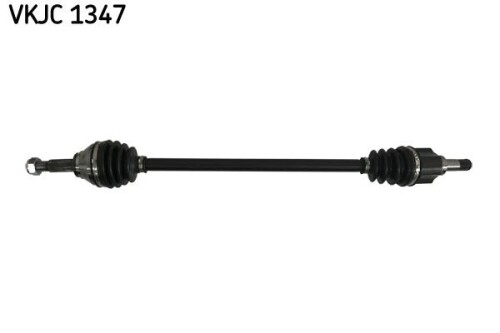 SKF-VKJC1347.jpg