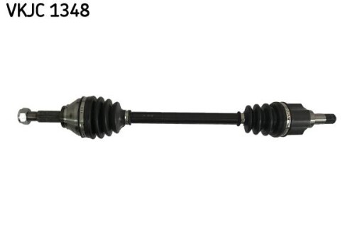 SKF-VKJC1348.jpg