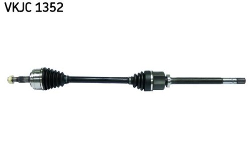 SKF-VKJC1352.jpg