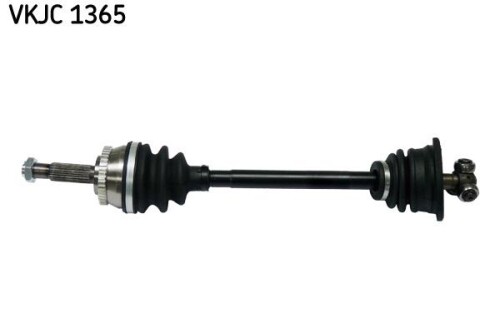 SKF-VKJC1365.jpg
