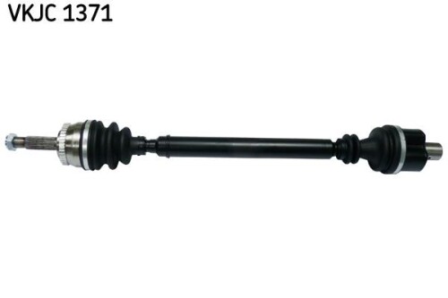 SKF-VKJC1371.jpg