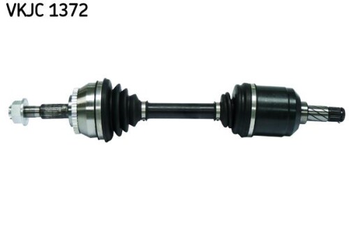 SKF-VKJC1372.jpg