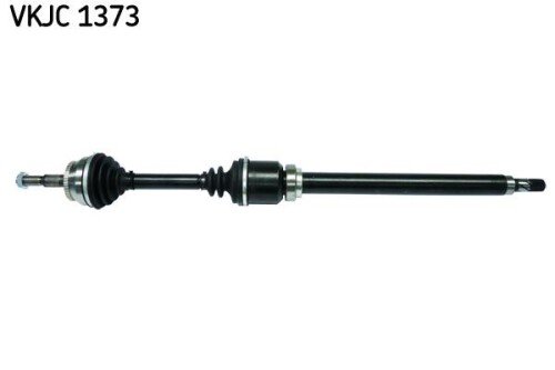 SKF-VKJC1373.jpg