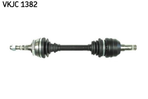 SKF-VKJC1382.jpg