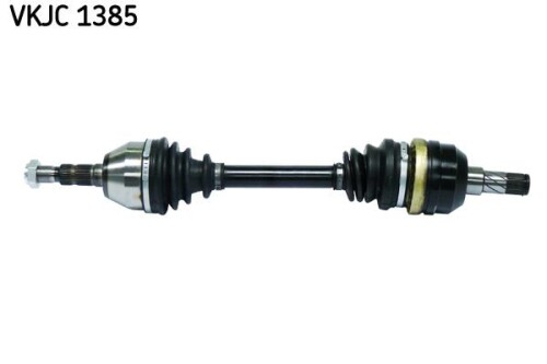 SKF-VKJC1385.jpg