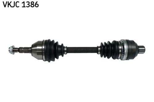 SKF-VKJC1386.jpg