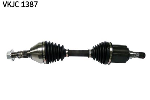 SKF-VKJC1387.jpg