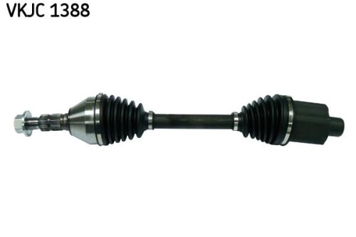 SKF-VKJC1388.jpg