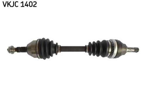 SKF-VKJC1402.jpg