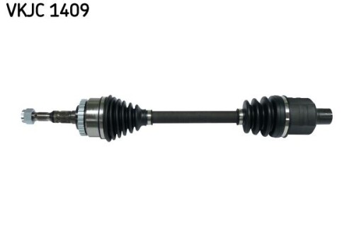 SKF-VKJC1409.jpg