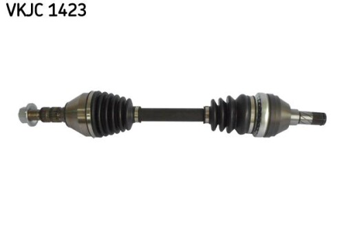 SKF-VKJC1423.jpg