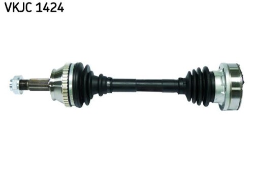 SKF-VKJC1424.jpg