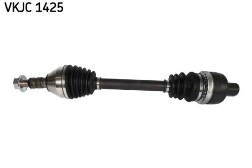 SKF-VKJC1425.jpg