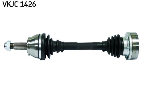 SKF-VKJC1426.jpg
