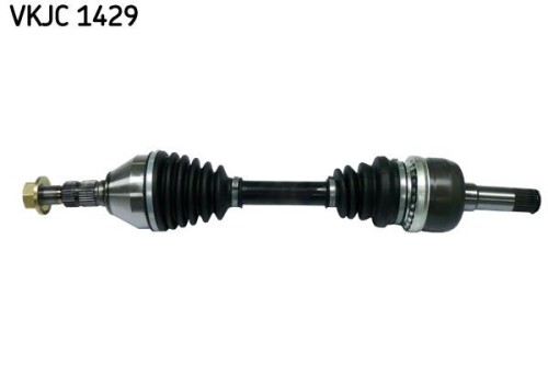 SKF-VKJC1429.jpg